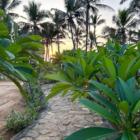 Bed and Breakfast Santa Maria, Trivandrum - An Airport Boutique By The Sea Тривандрум Экстерьер фото