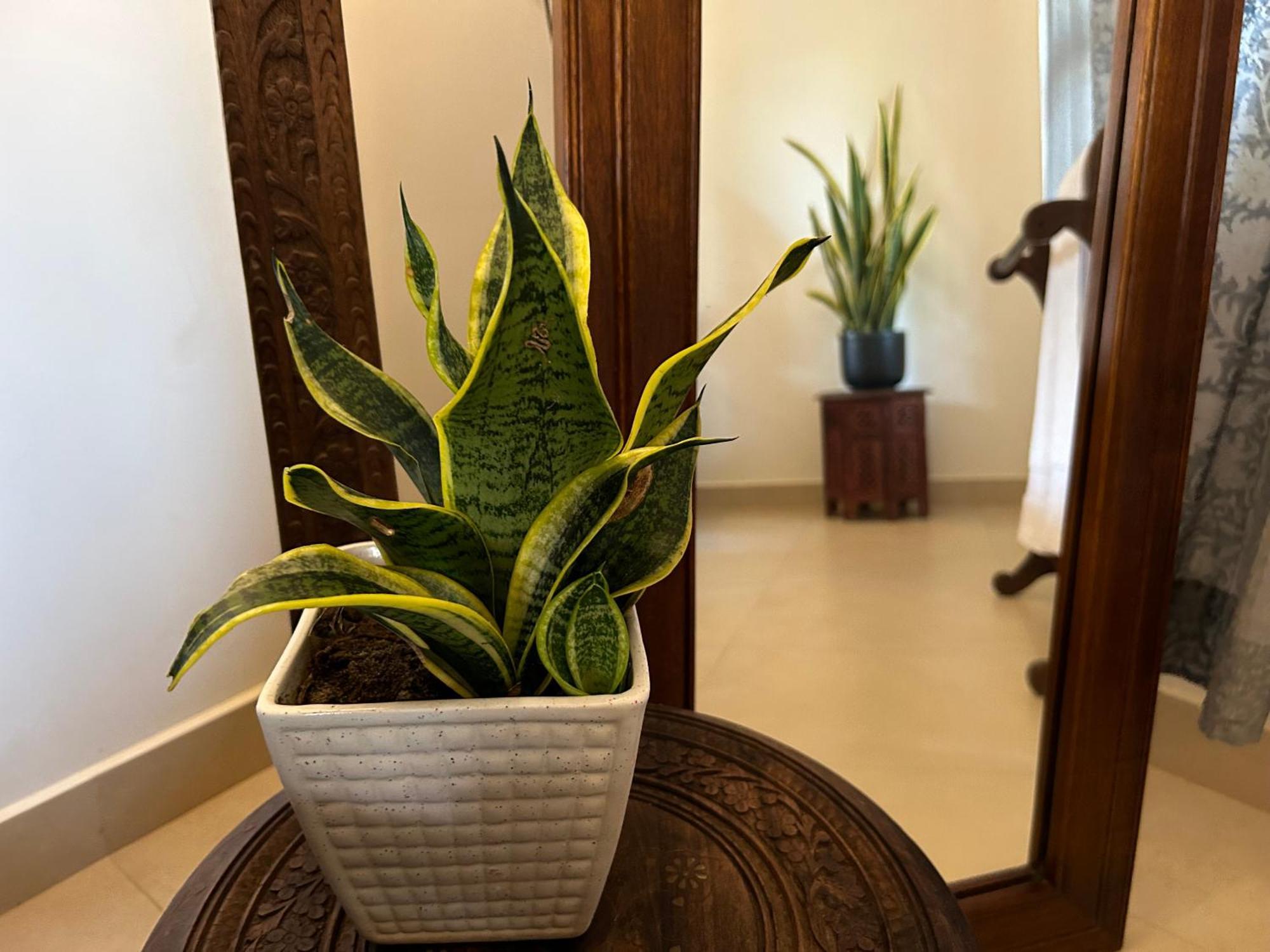 Bed and Breakfast Santa Maria, Trivandrum - An Airport Boutique By The Sea Тривандрум Экстерьер фото