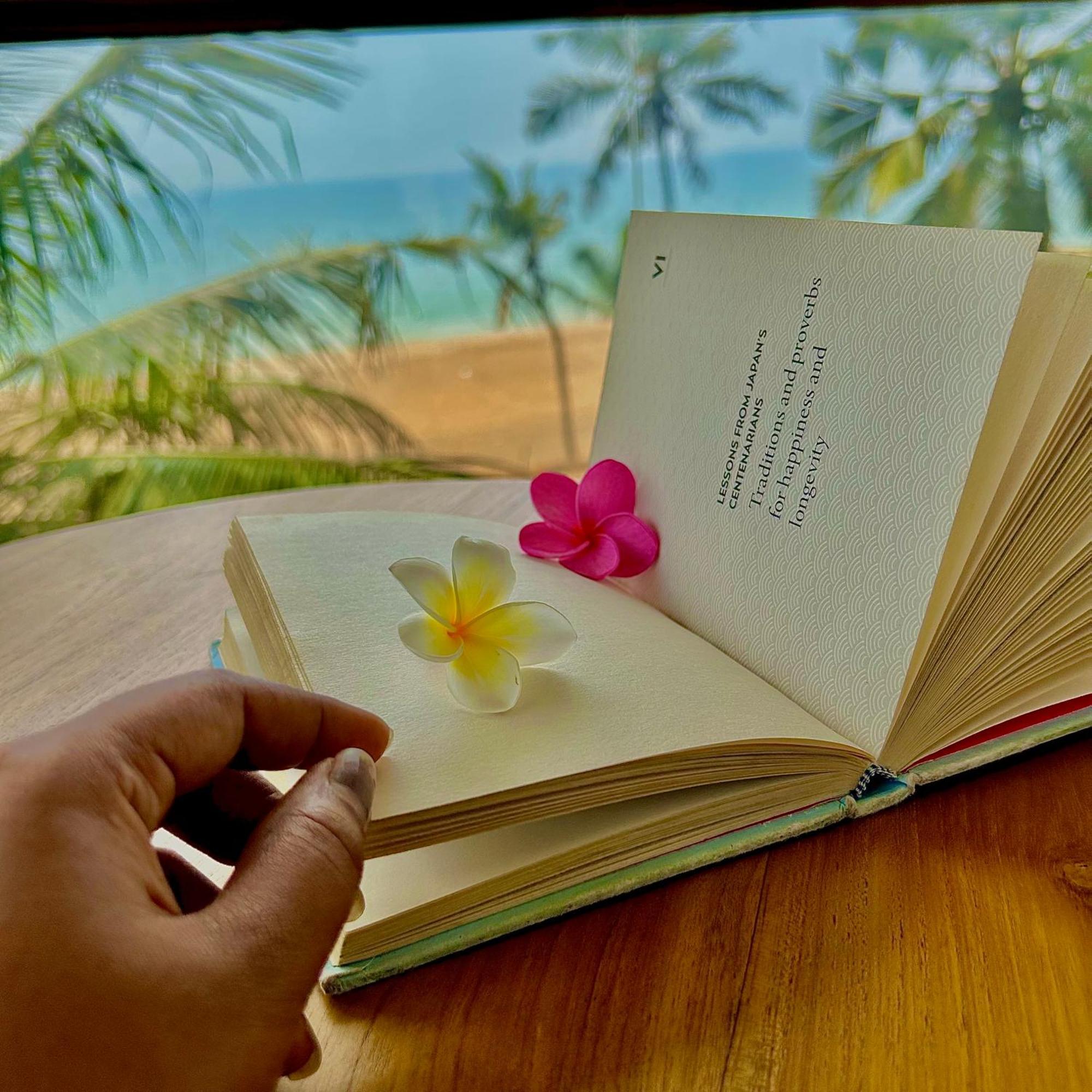 Bed and Breakfast Santa Maria, Trivandrum - An Airport Boutique By The Sea Тривандрум Экстерьер фото