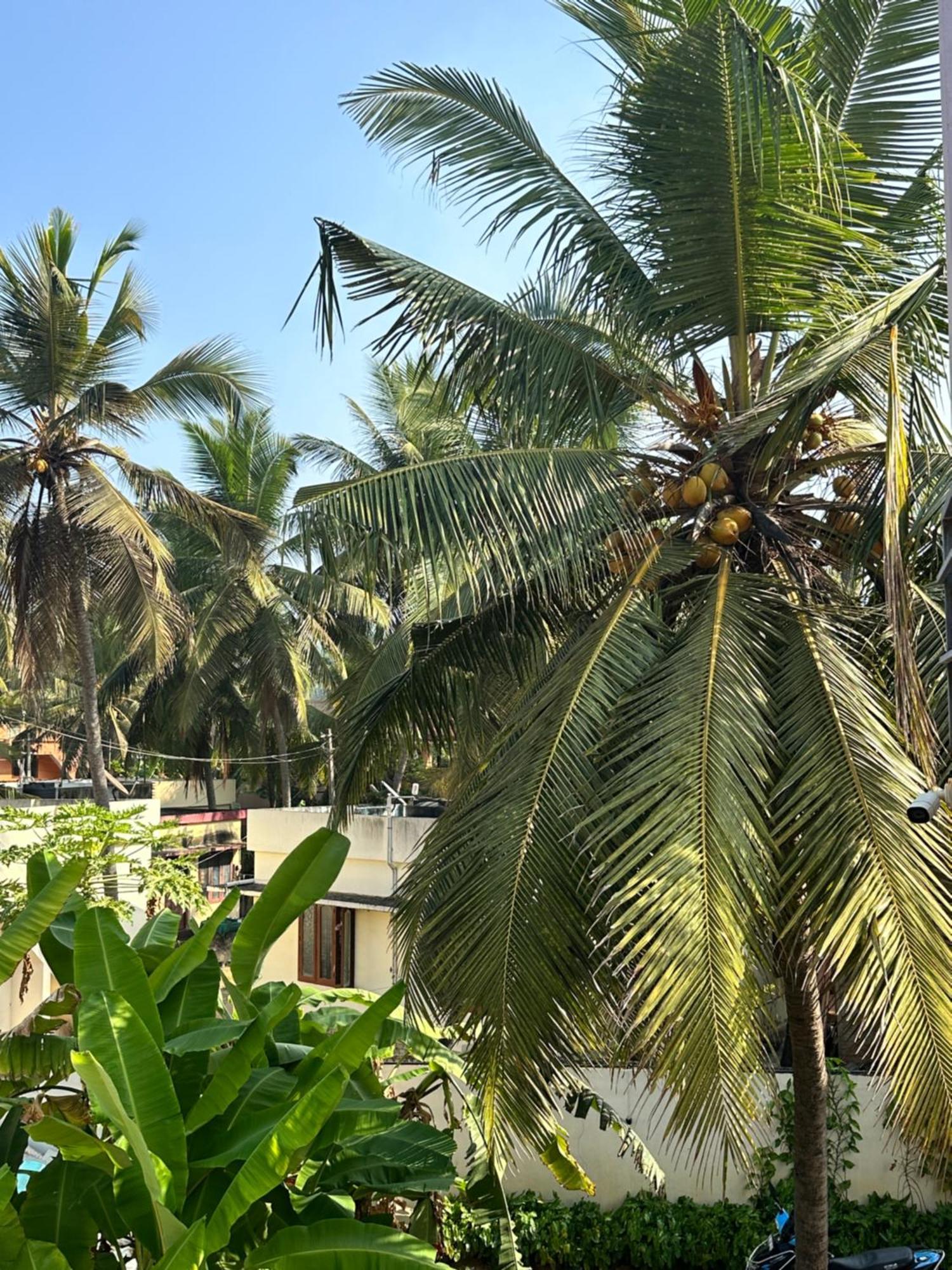 Bed and Breakfast Santa Maria, Trivandrum - An Airport Boutique By The Sea Тривандрум Экстерьер фото