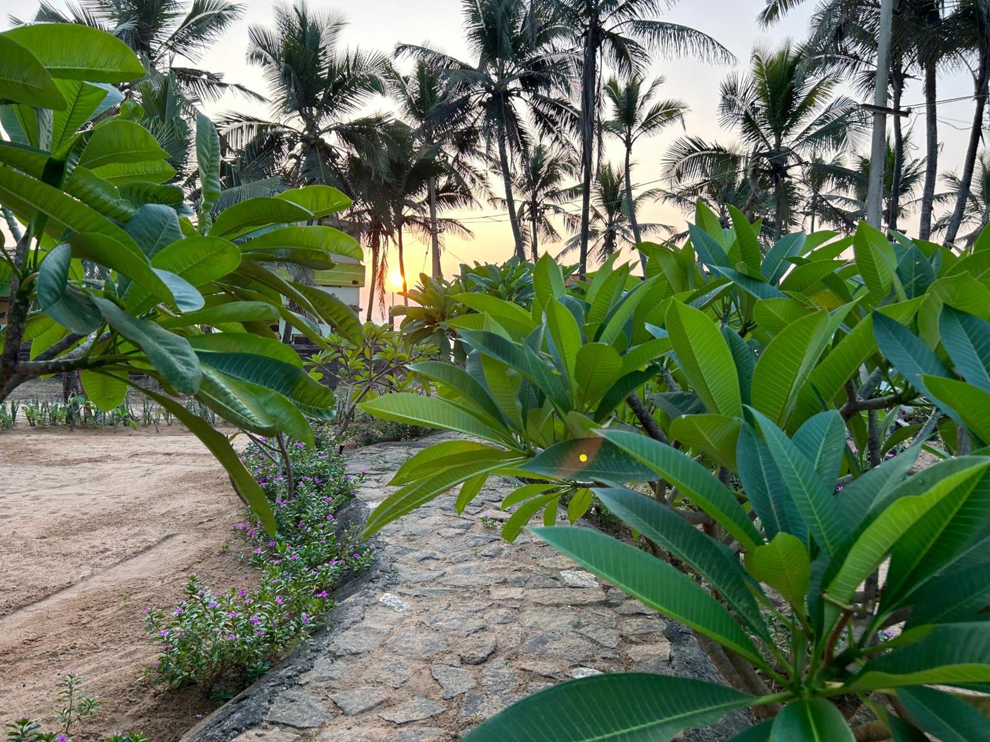 Bed and Breakfast Santa Maria, Trivandrum - An Airport Boutique By The Sea Тривандрум Экстерьер фото